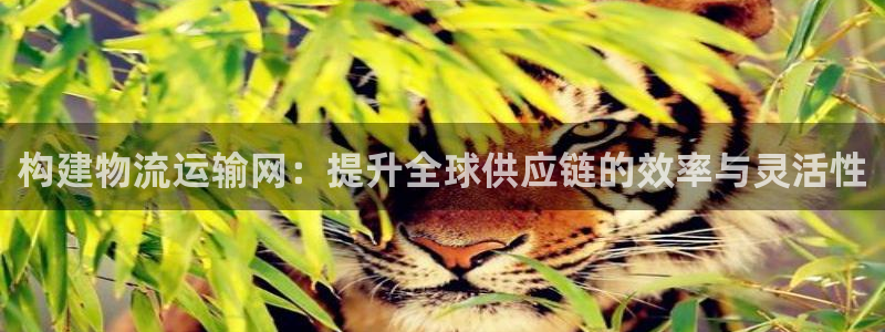 谈球吧app赛事分析报告模板